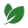 Pricing Card Icon