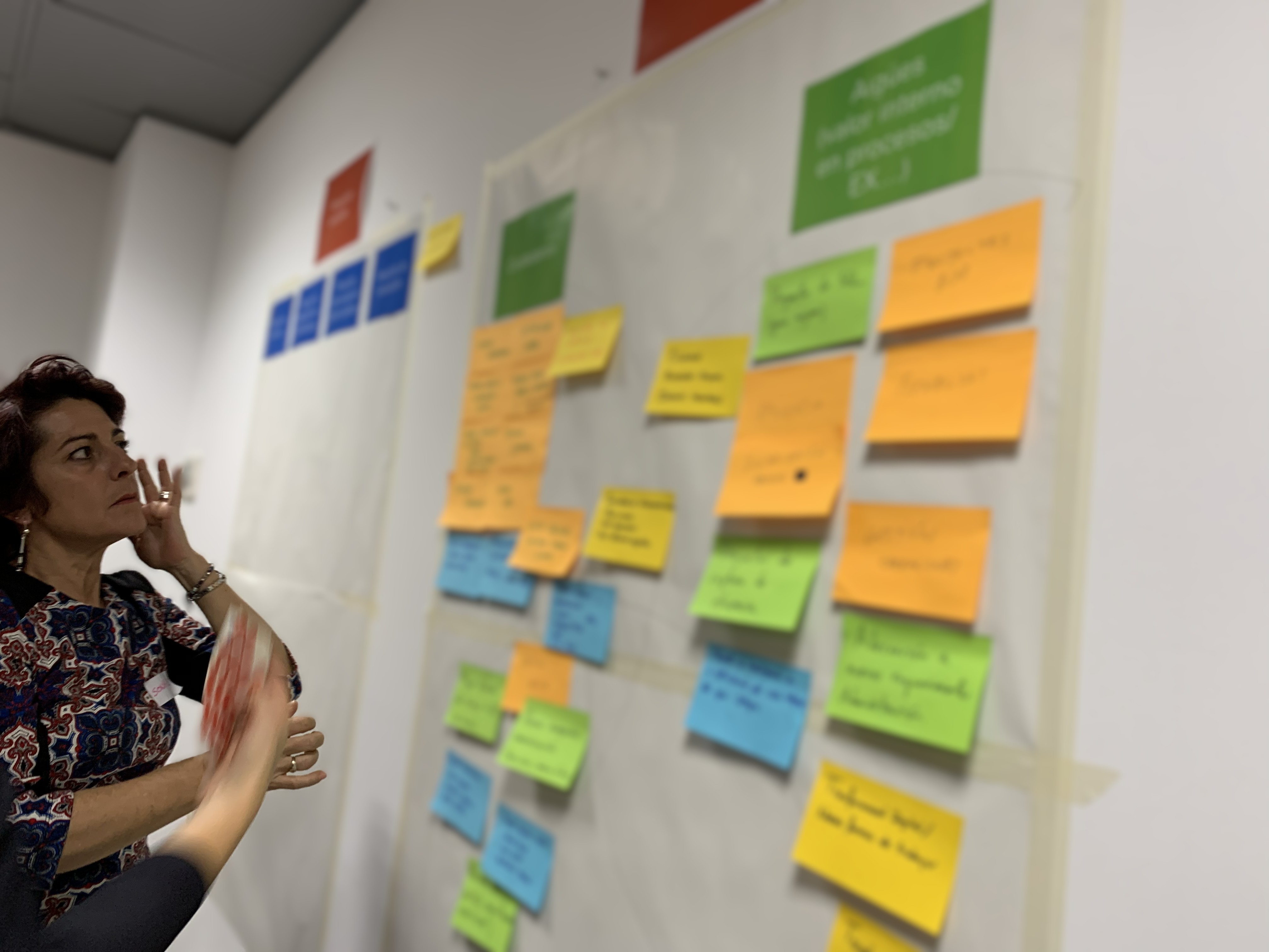 Sonia discussing a wall of workshop insights