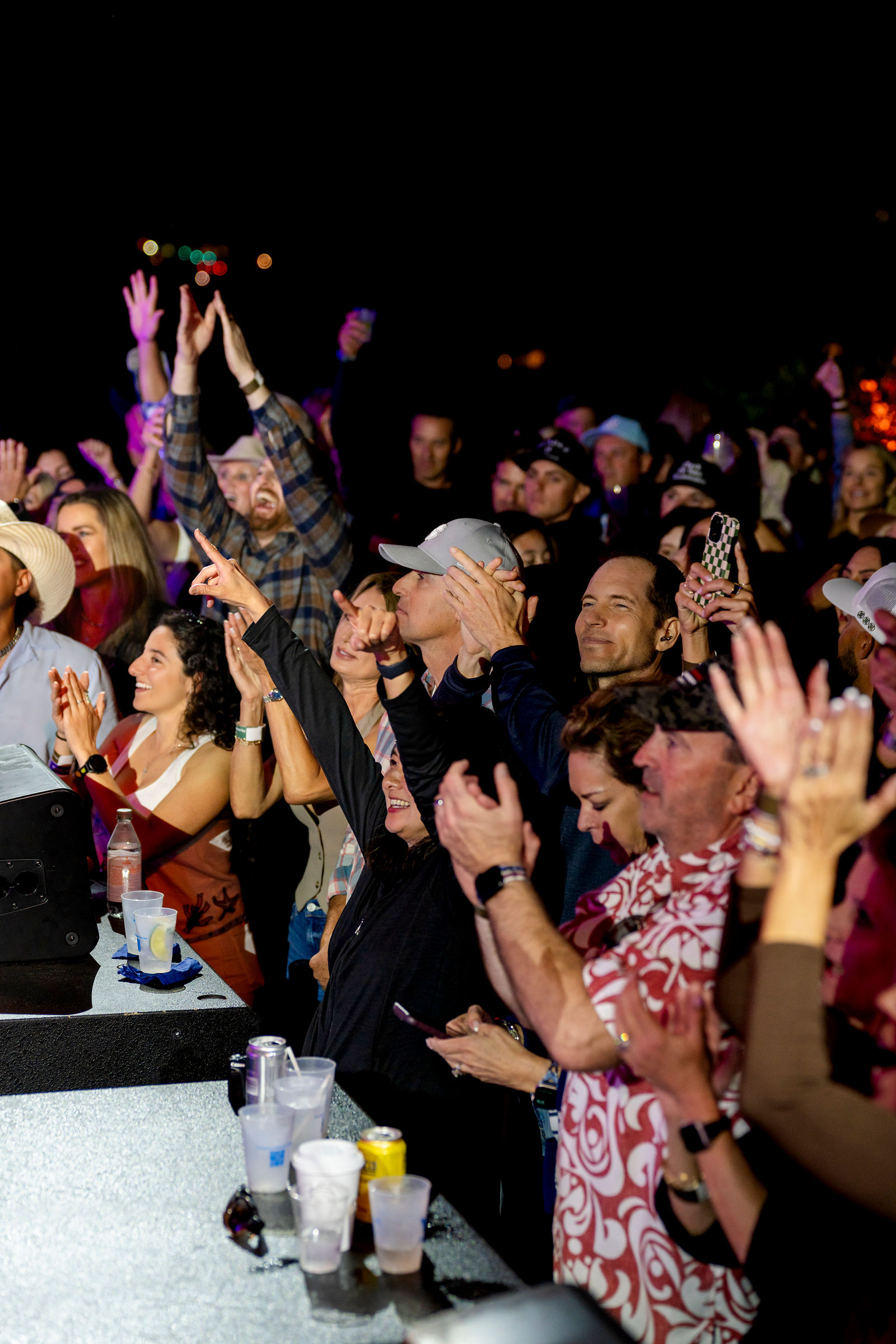 The crowd cheering with hands raised during the concert