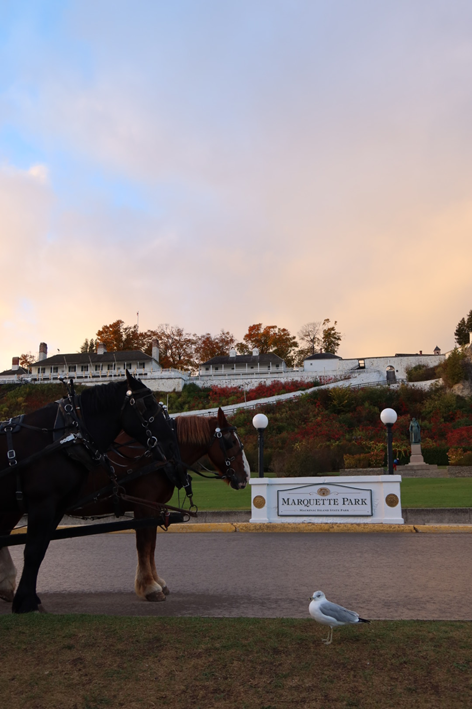 Two dark draft horses in harness standing in front of a Marquette Park sign, with a seagull on the road and a white hotel on an autumn hillside under a pastel sunset sky.