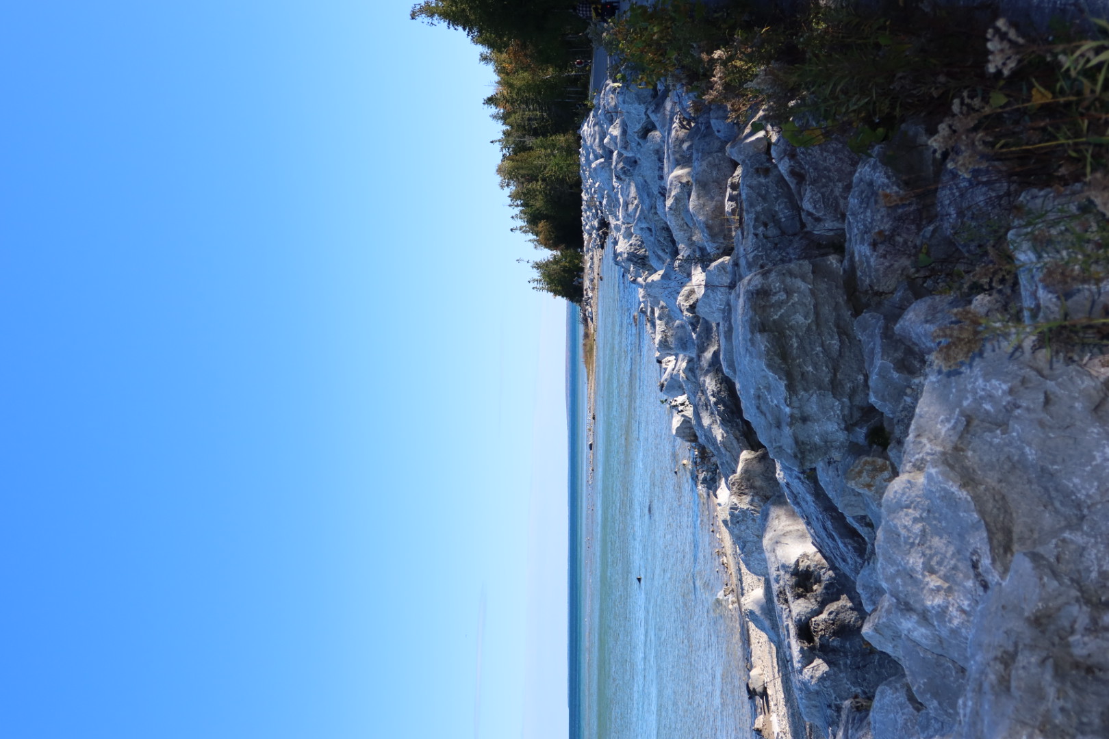 A rugged limestone shoreline with weathered gray rocks and evergreen trees beside calm, pale turquoise water under a clear blue sky.