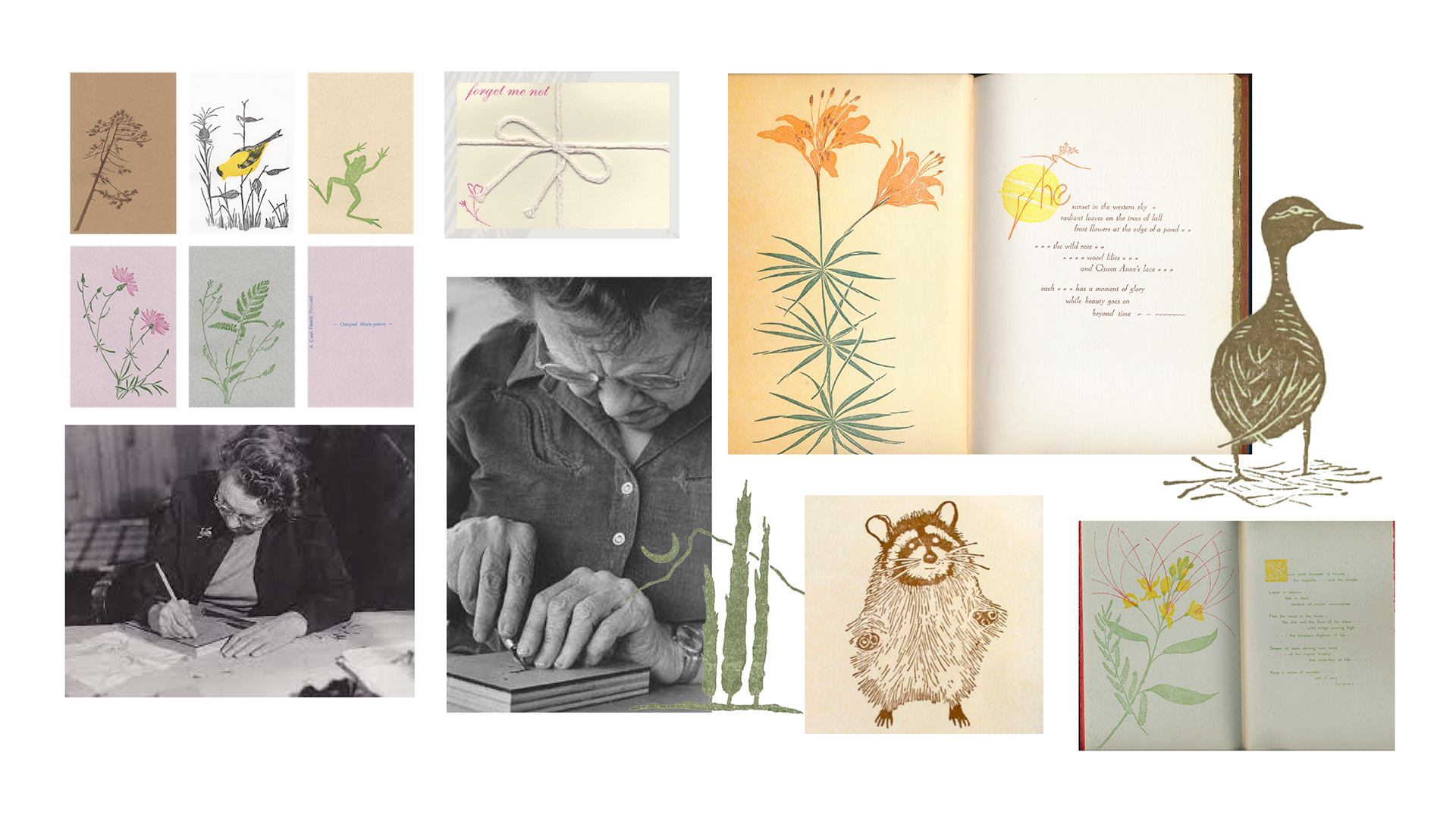 Collage of Gwen Frostic's work: small block-print cards of a plant, a goldfinch and a frog, a photo of her carving at a desk, an open book with an orange lily print, a raccoon print, a duck print and a second open book with yellow flowers.