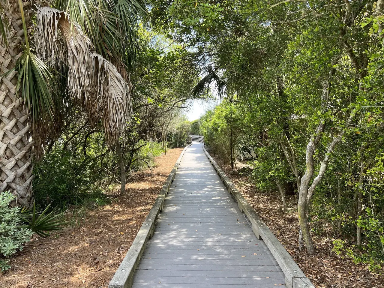 Seagrove Beach homes, 30A