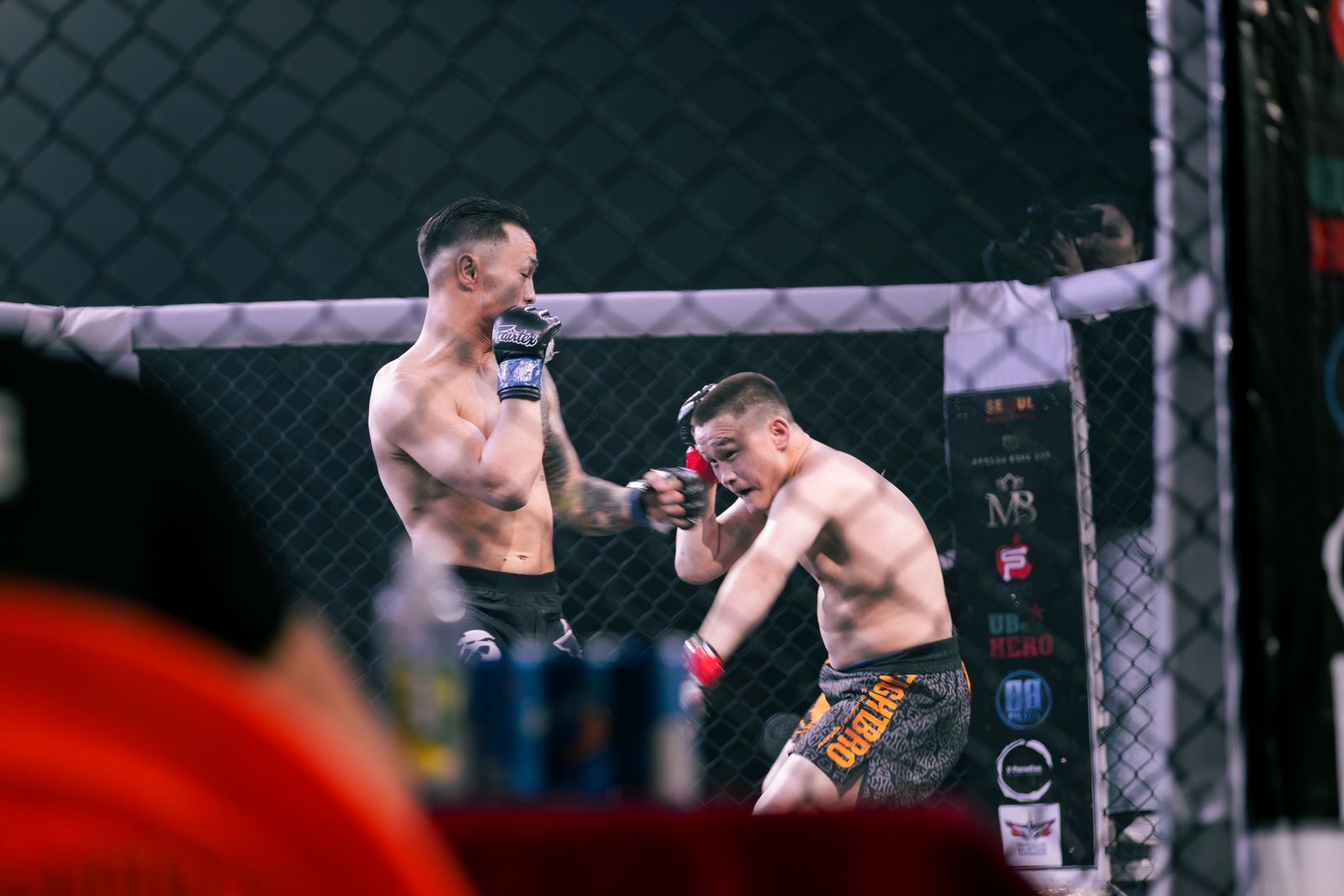 Sports & Combat Sports photography sample
