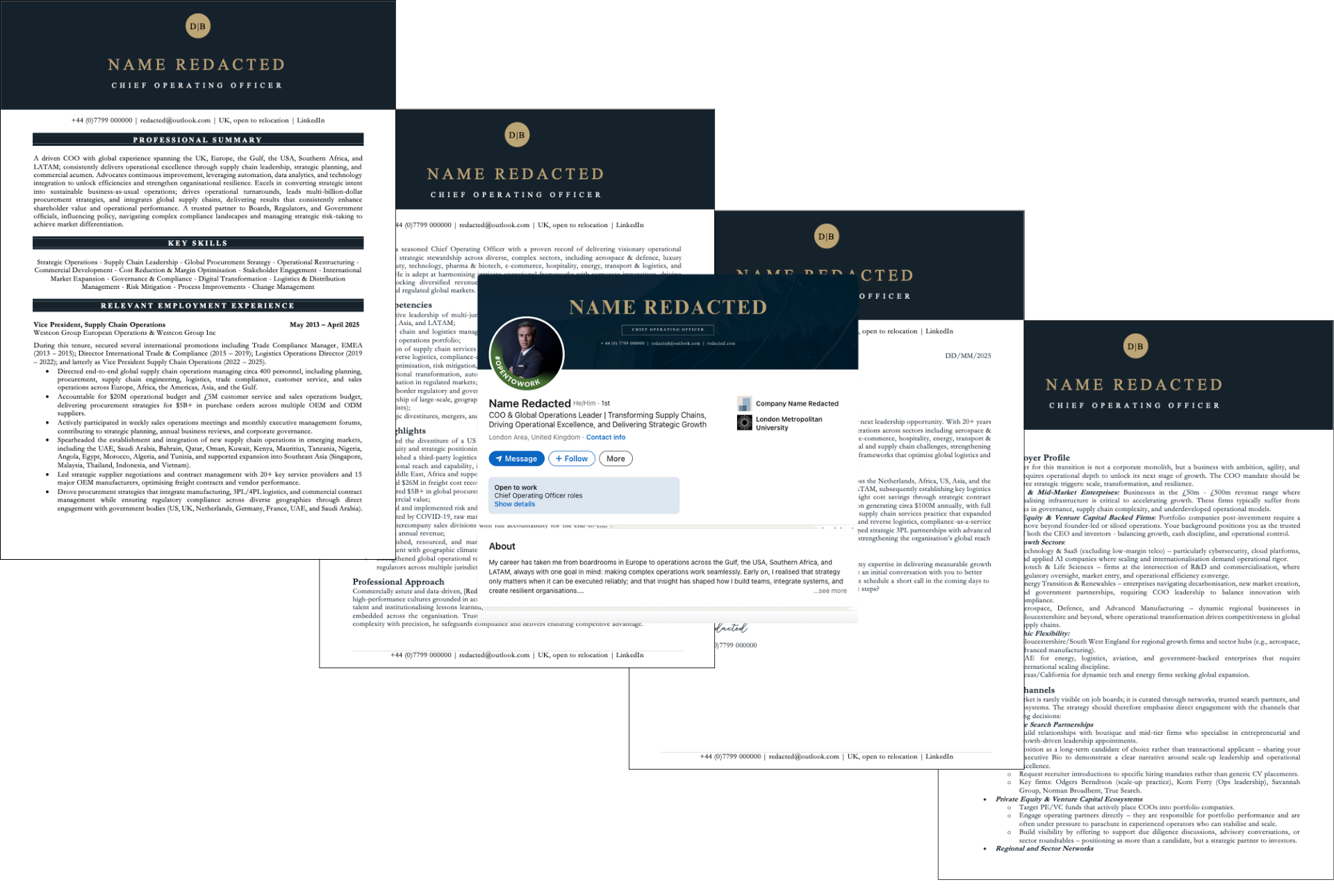 Executive resume, LinkedIn profile and bio prepared by Careers Expert Group