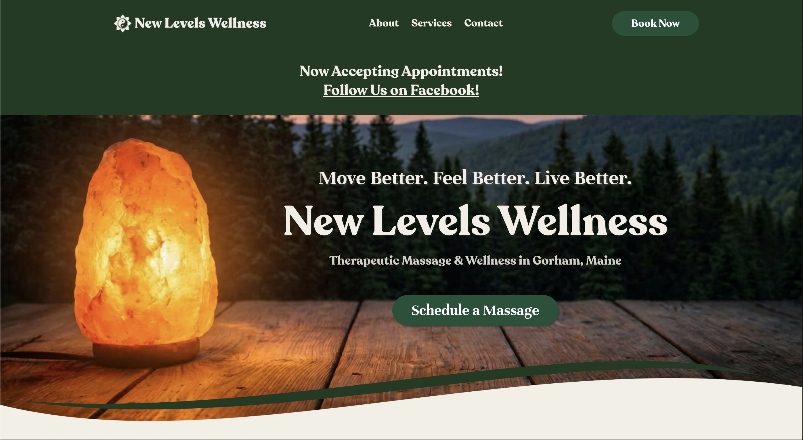 New Levels Wellness massage therapy website homepage