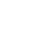 statistic icon