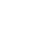 statistic icon