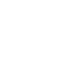 statistic icon
