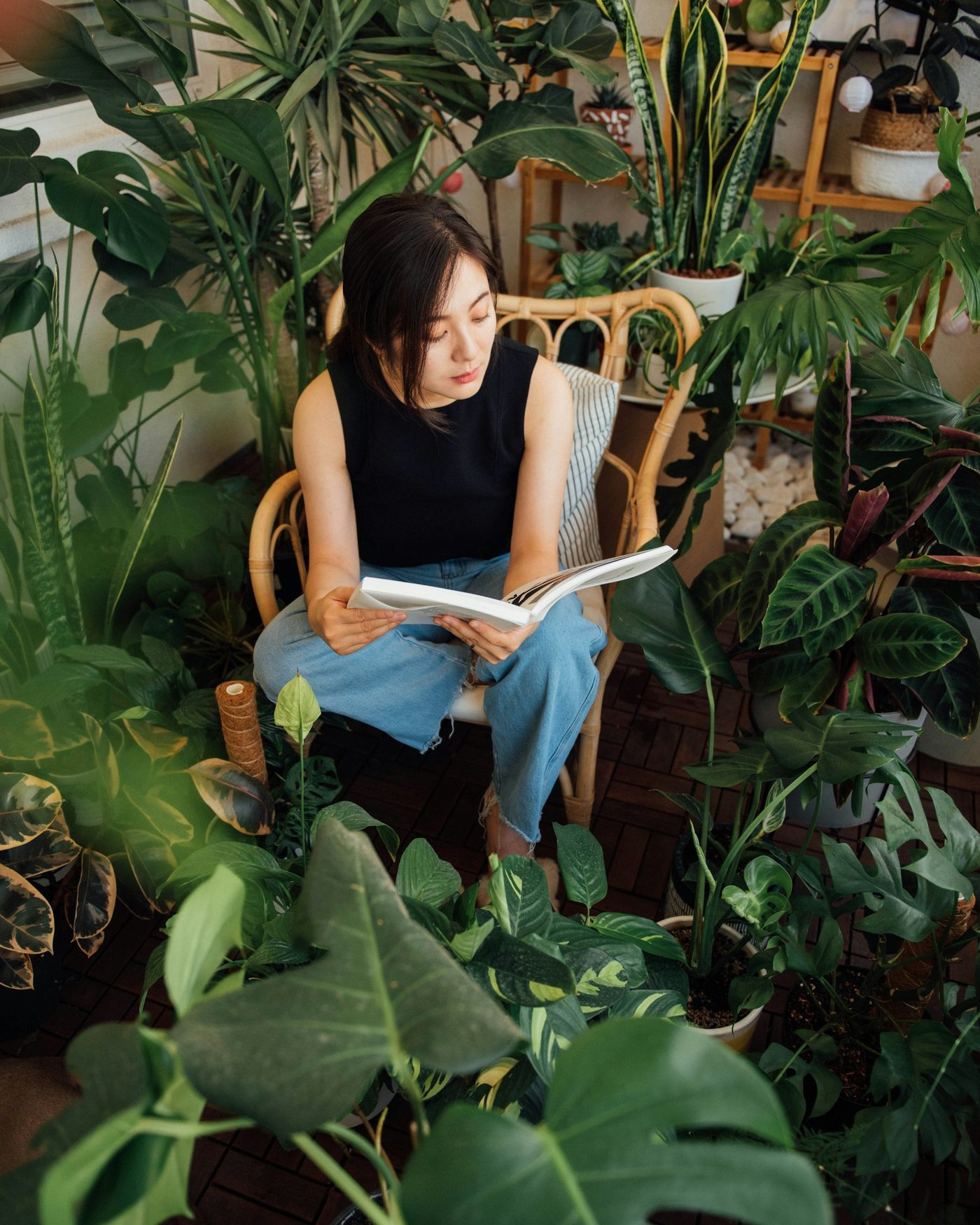 A person reading a book in a quiet room surrounded by plants
