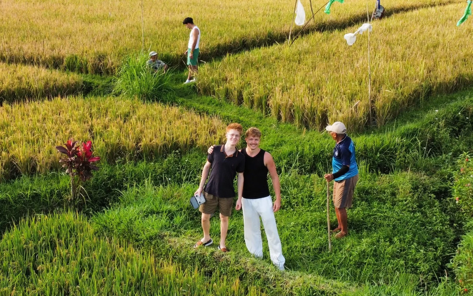 Team Workation im Reisfeld auf Bali mit Nils, Malte und Ayman