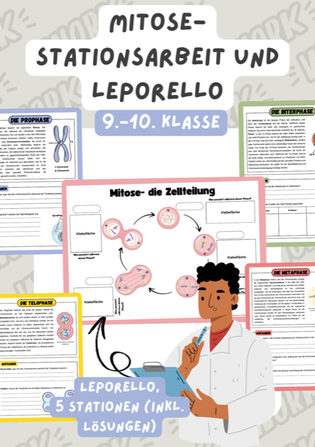 Cover Mitose Stationsarbeit