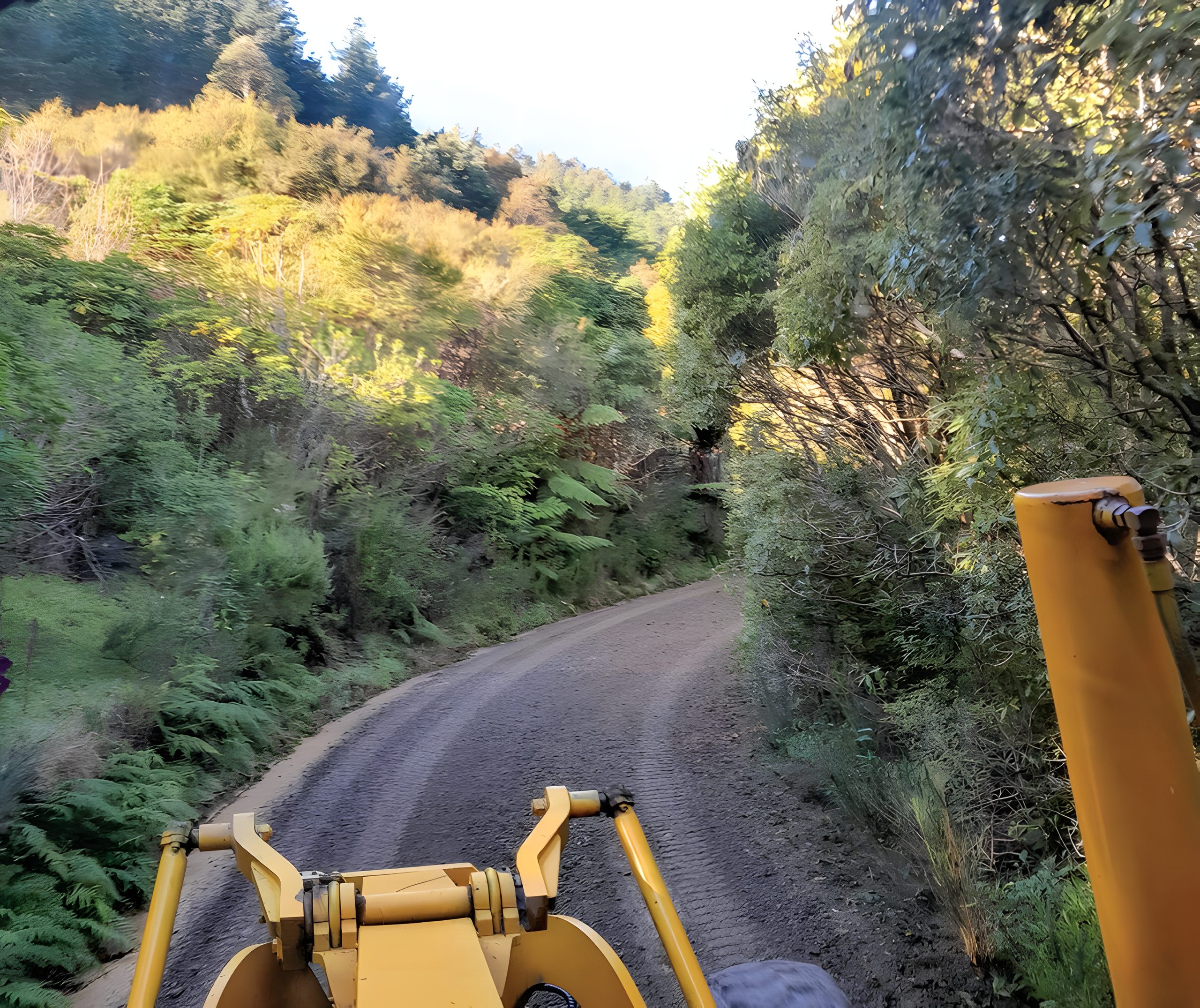 Forestry road construction in Marlborough