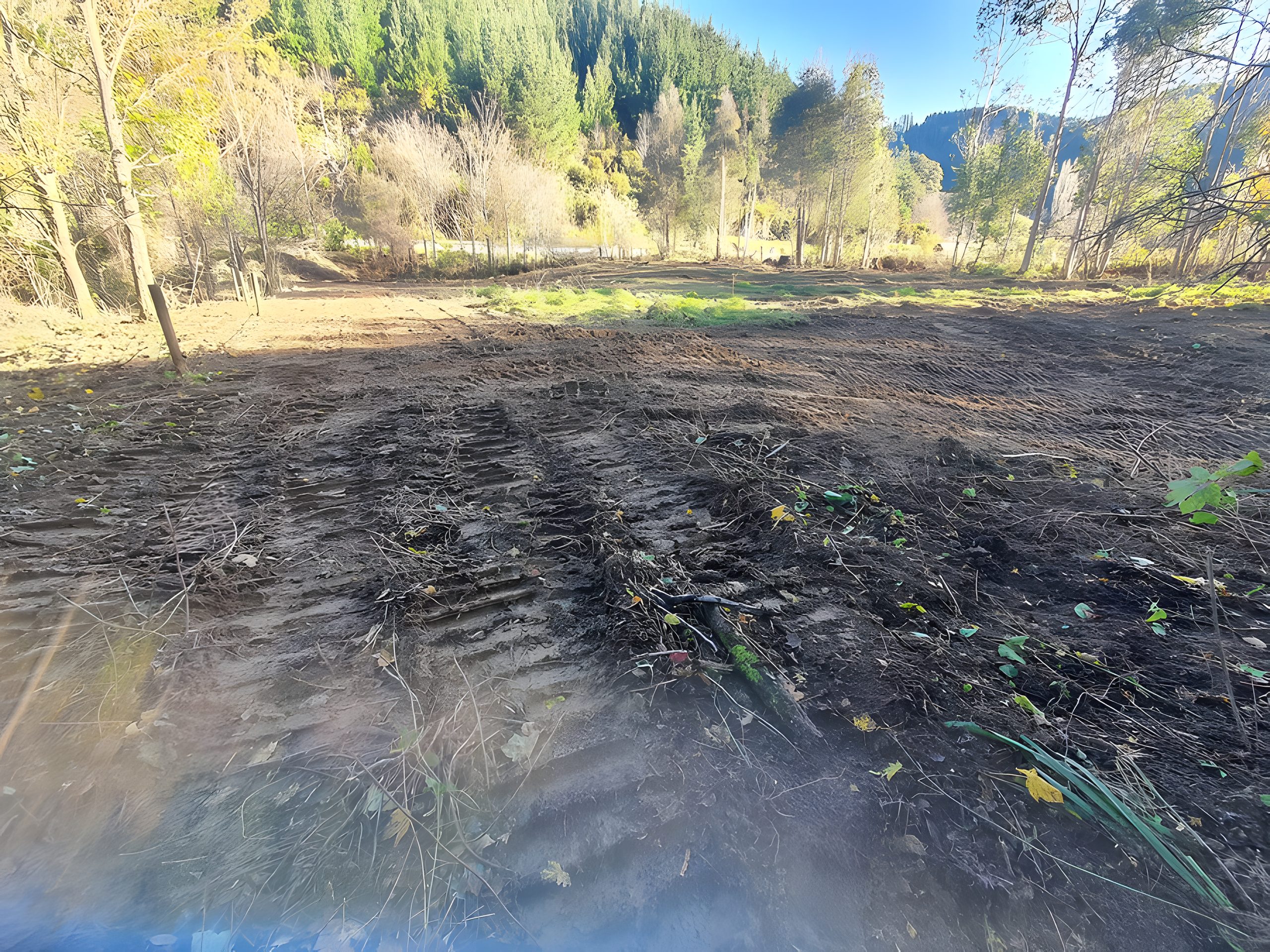 Land clearing for a new block in Marlborough
