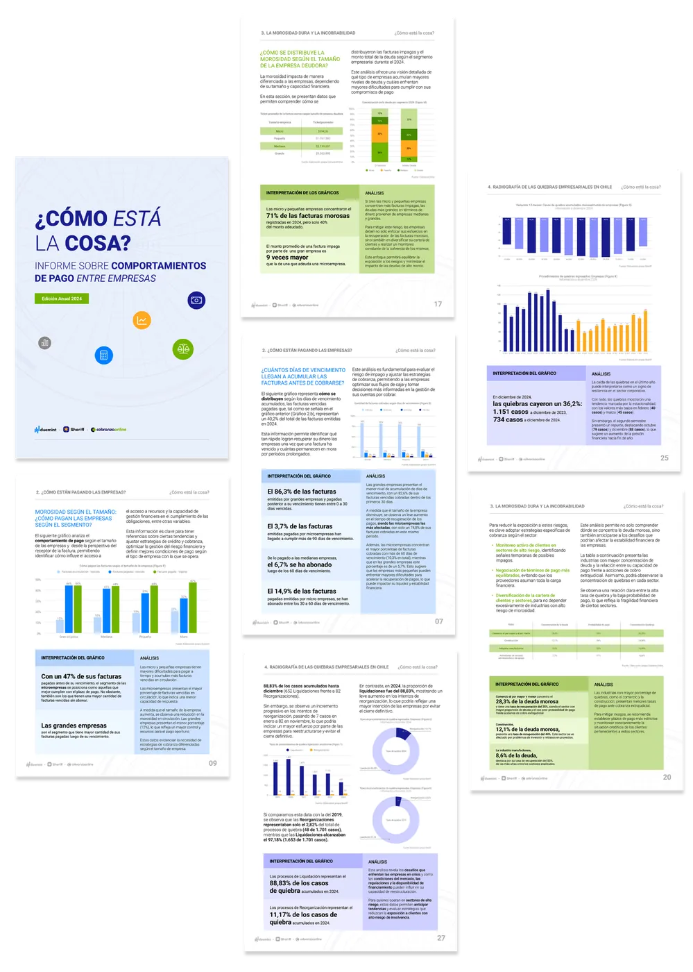 Páginas del informe Cómo está la cosa 2024