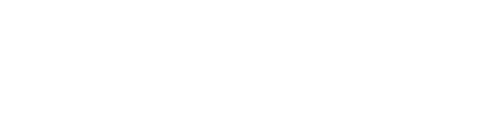 Boggi logo
