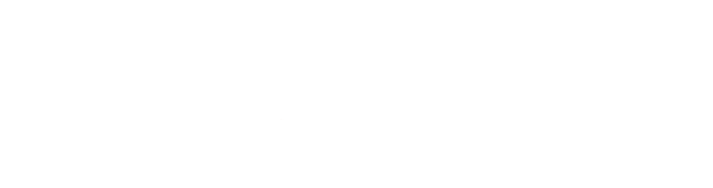 San Siro logo