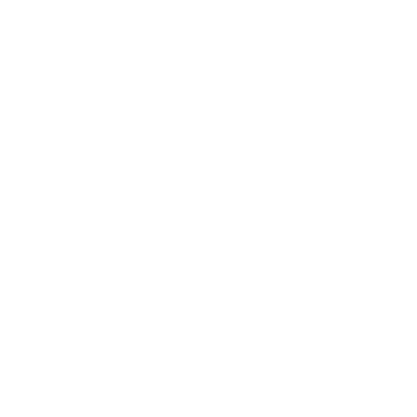 Paul&Shark logo