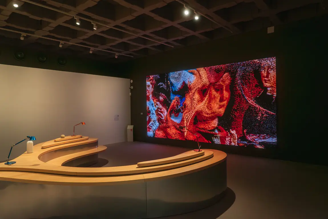 Pinacoteca di Brera: L'arte si fa digitale – progetto Tecnovision, foto 2