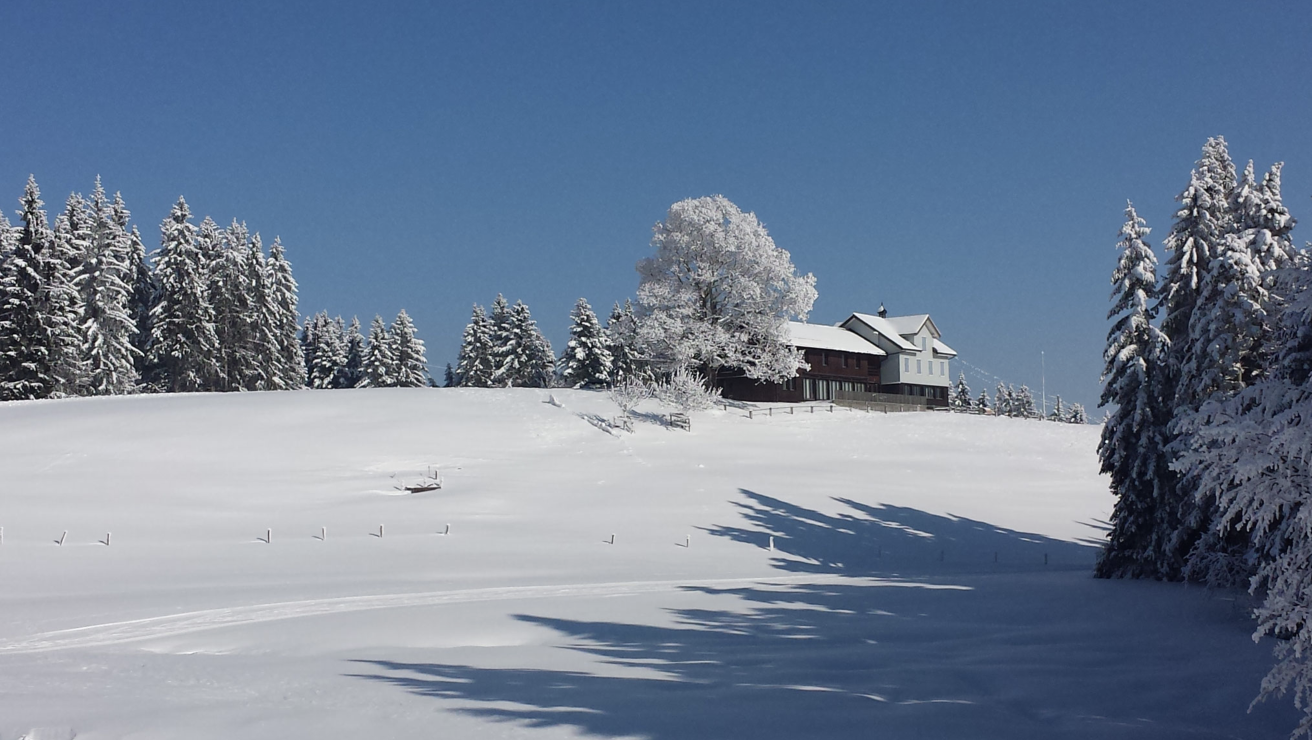 Verschneites Gruppenhaus auf einer Anhöhe zwischen tief verschneiten Tannen unter blauem Himmel