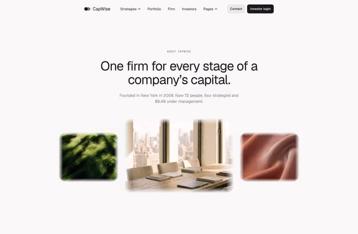 CapWise About page preview