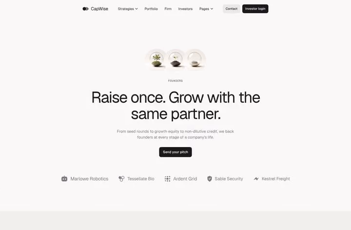 CapWise Founders page preview