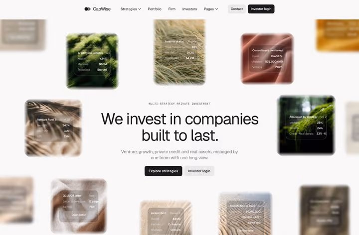 CapWise Home 1 page preview