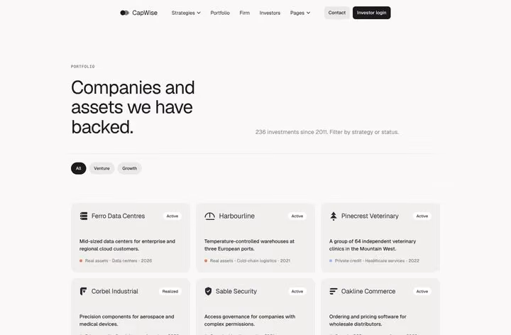 CapWise Portfolio 1 page preview