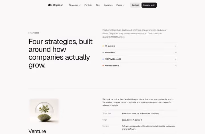 CapWise Strategies page preview