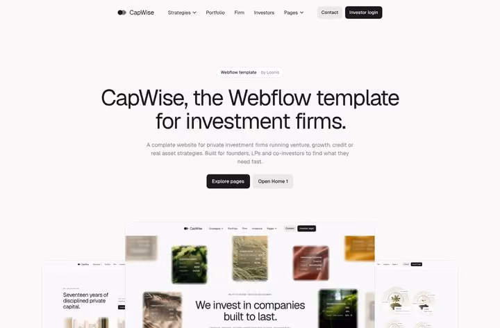CapWise Overview page preview