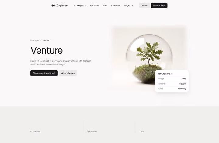 CapWise Strategy page preview