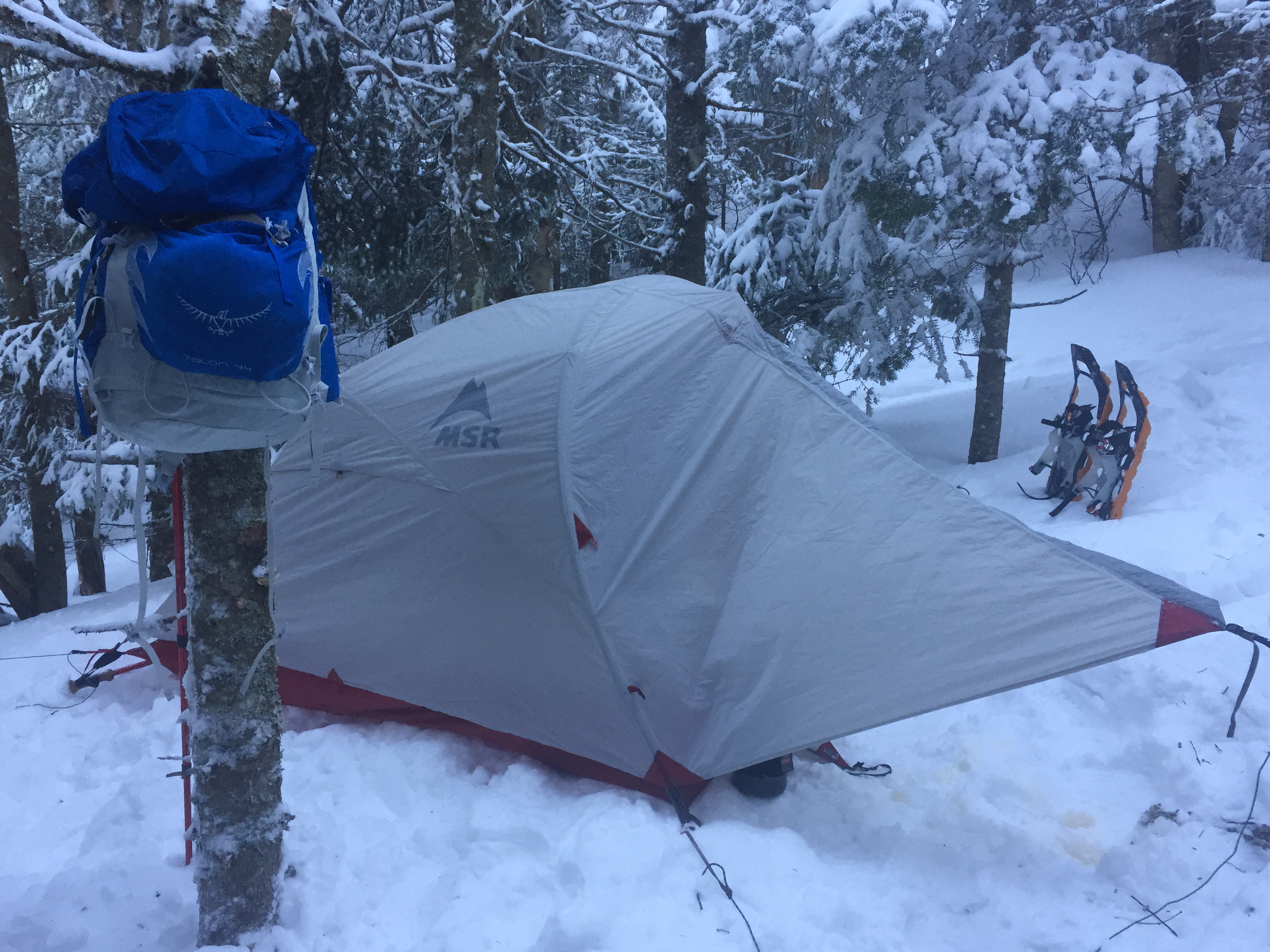 Winter camping tent in snowy forest