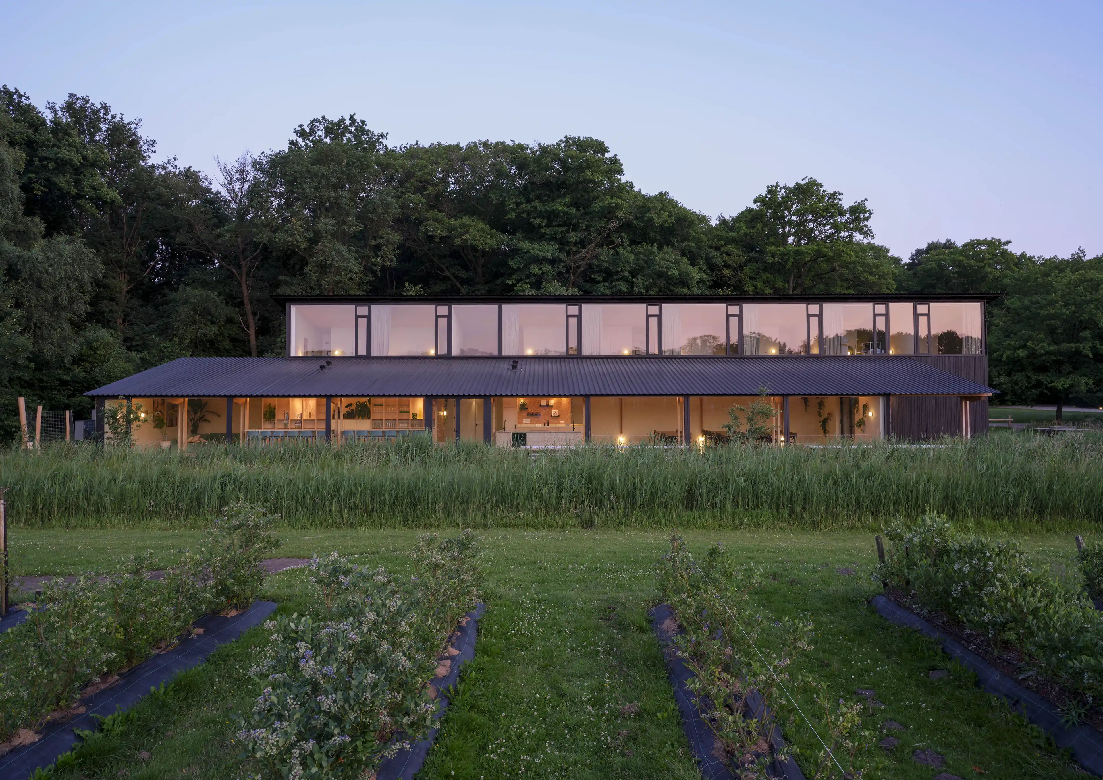 Boshuis Blankwater by Jasper Smits Architecten