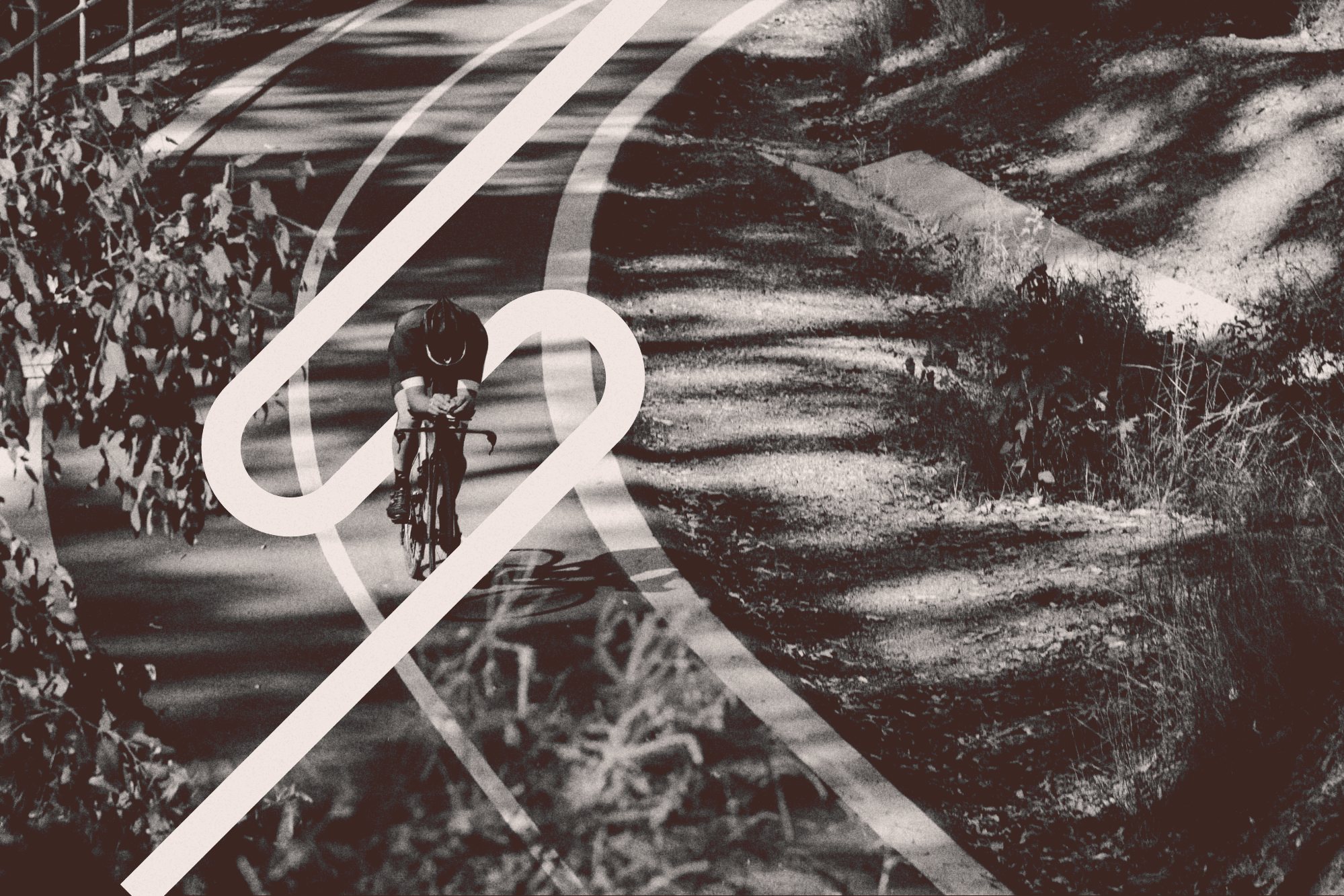 A cyclist on a forest road with the Scody road loop graphic
