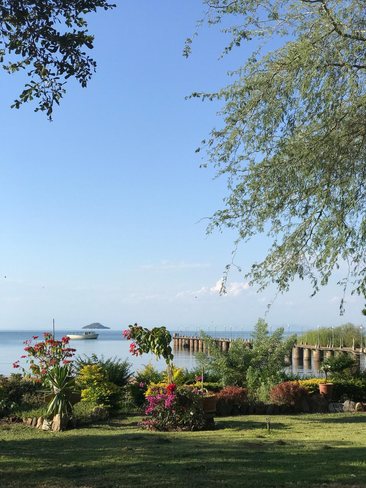 Flowering shrubs in the garden with the pier and Lake Malawi beyond