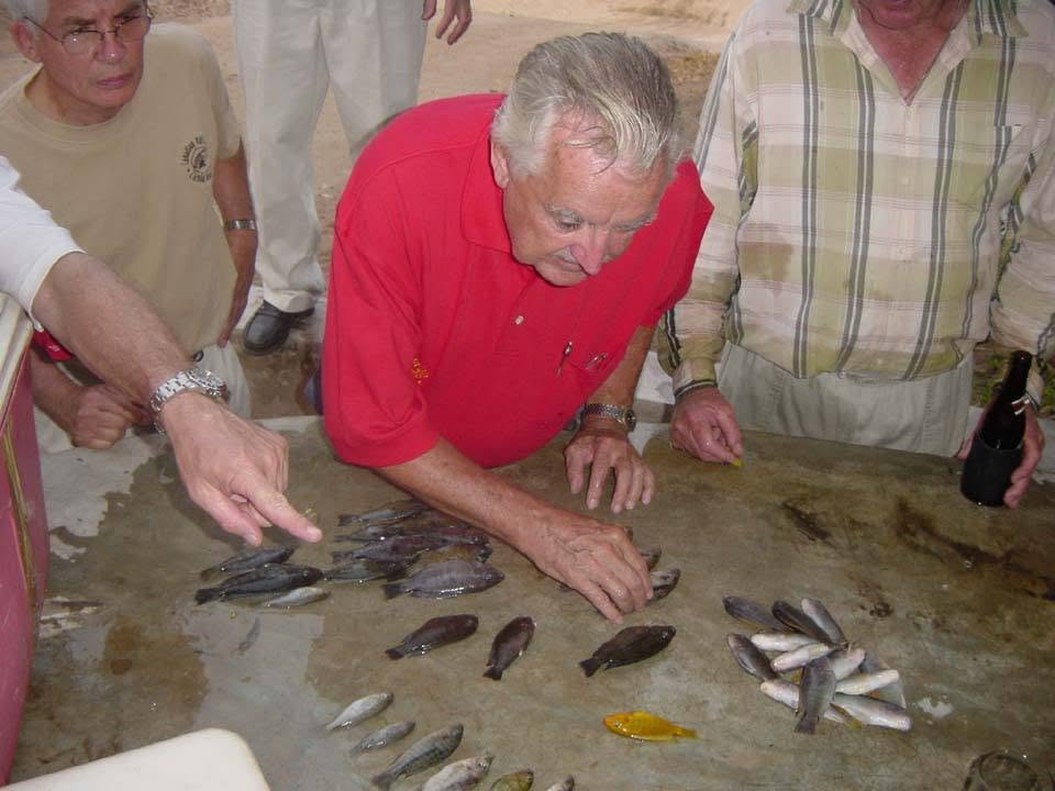 Stuart Grant examining cichlids of Lake Malawi