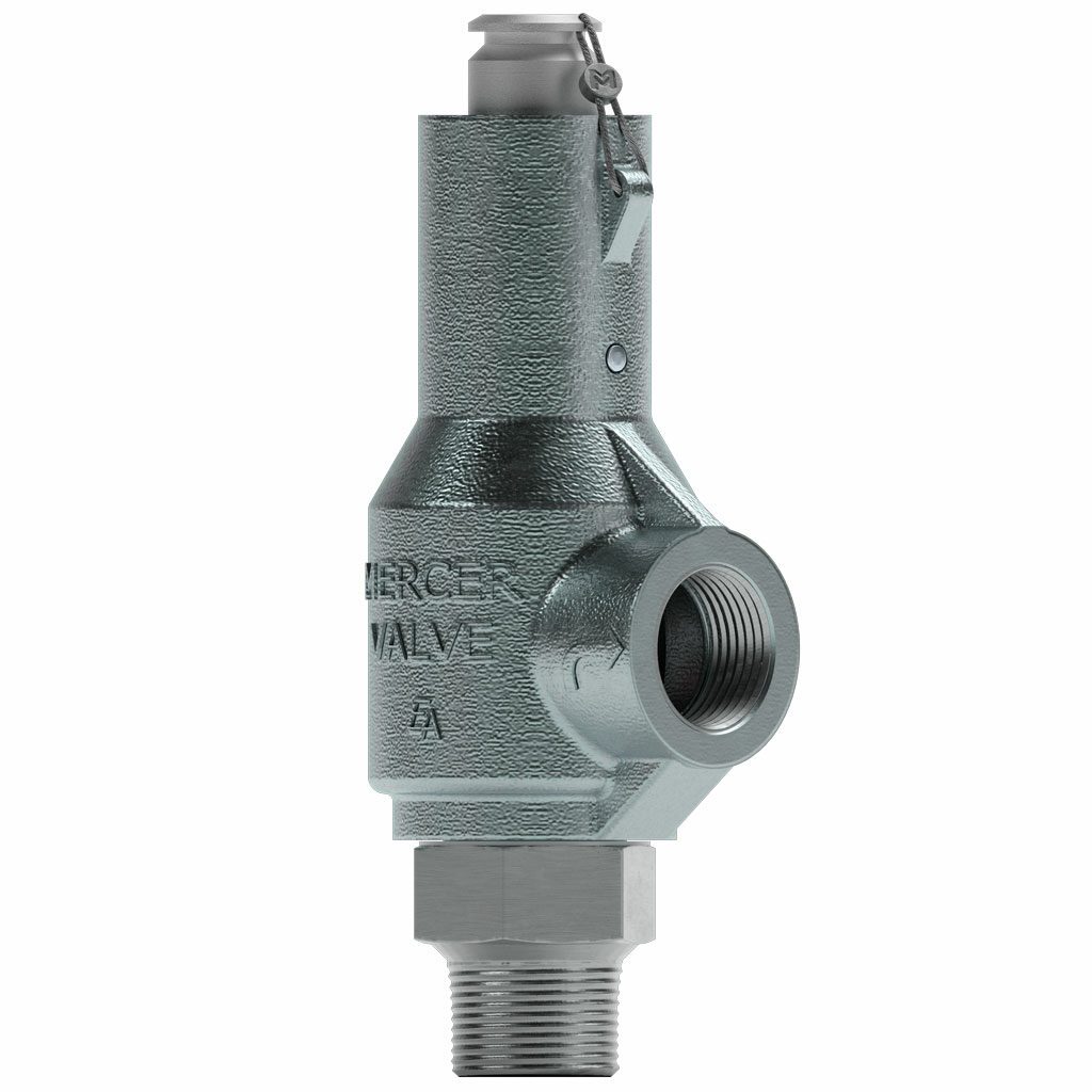 Mercer 8100 compact PSV