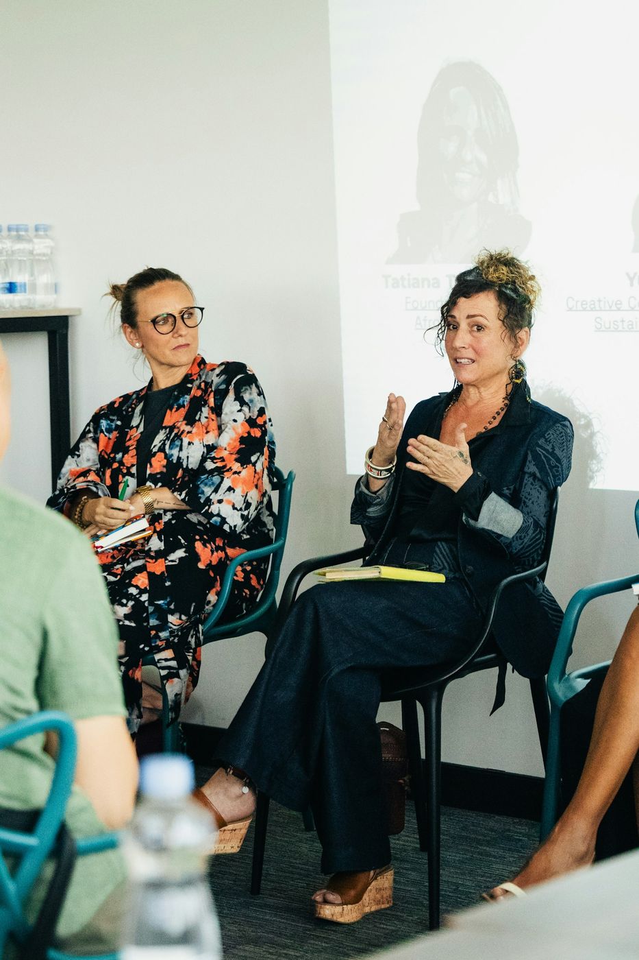 Two experts speaking on a conference panel
