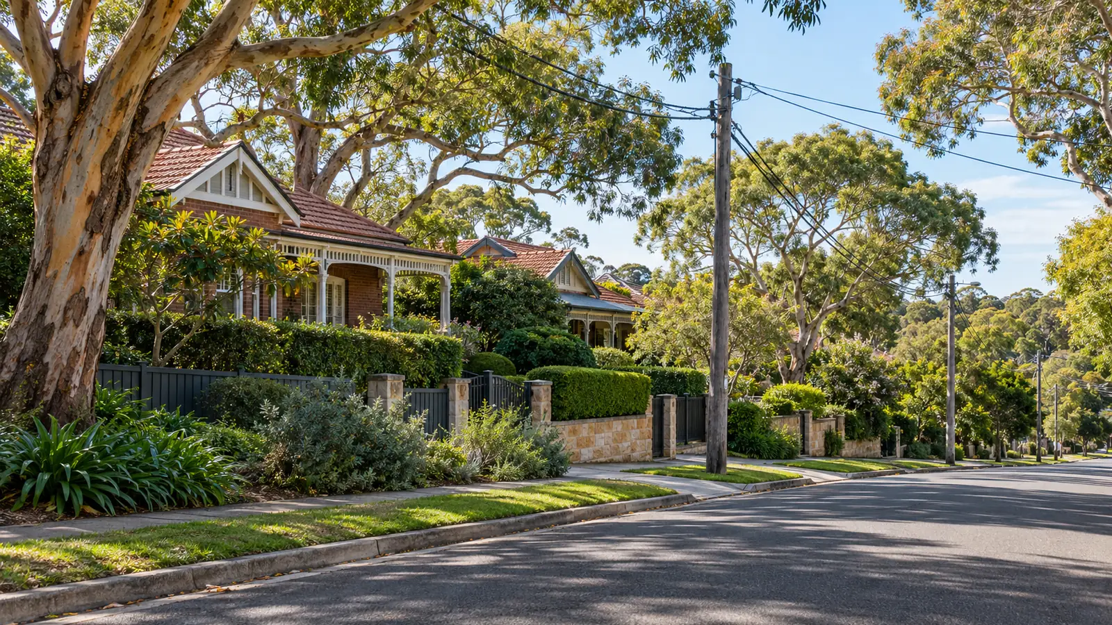 Leafy North Shore street of Federation bungalows under timber power poles
