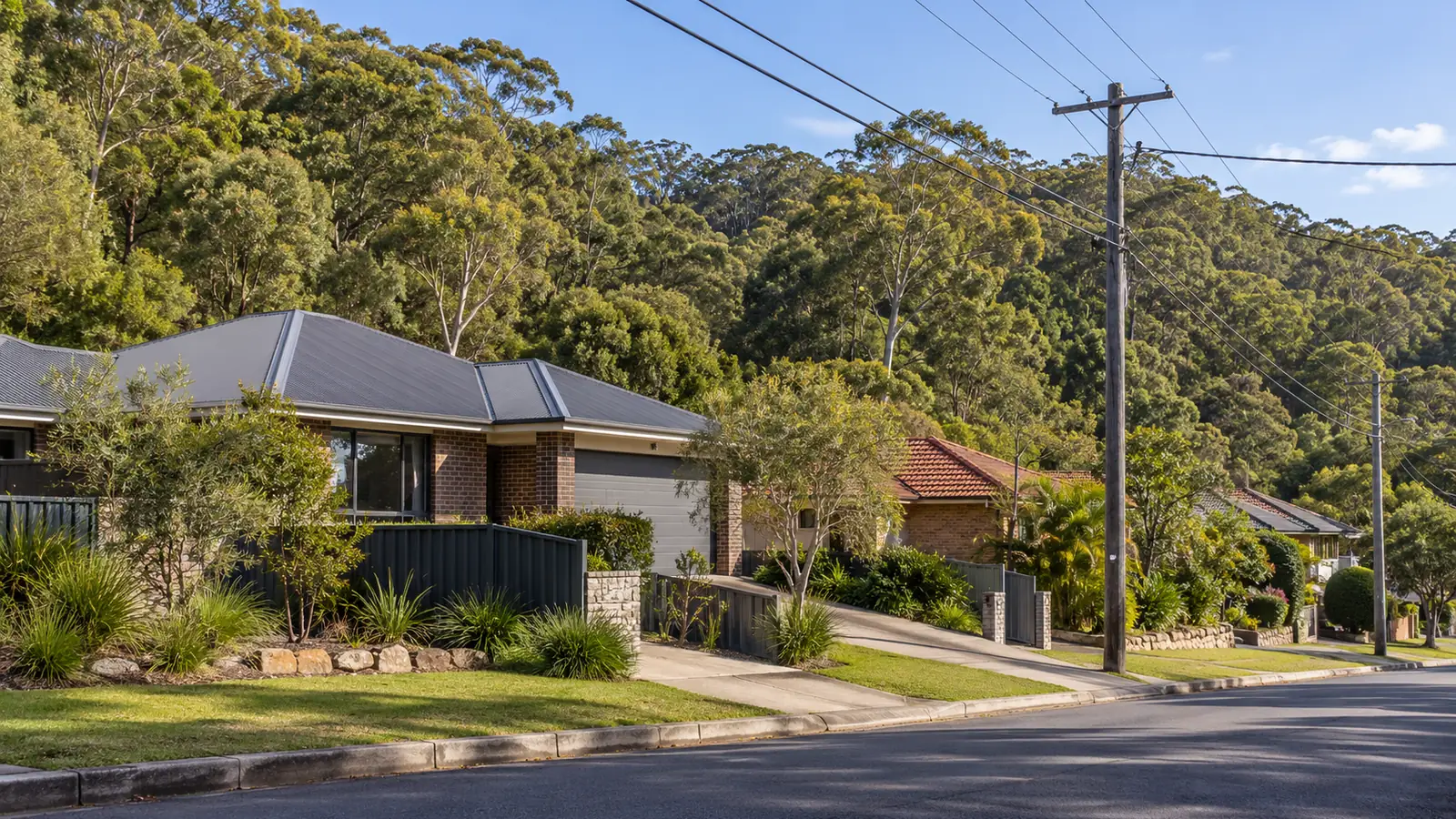 Sutherland Shire homes beside bushland with overhead power lines