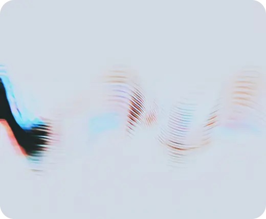 License Image