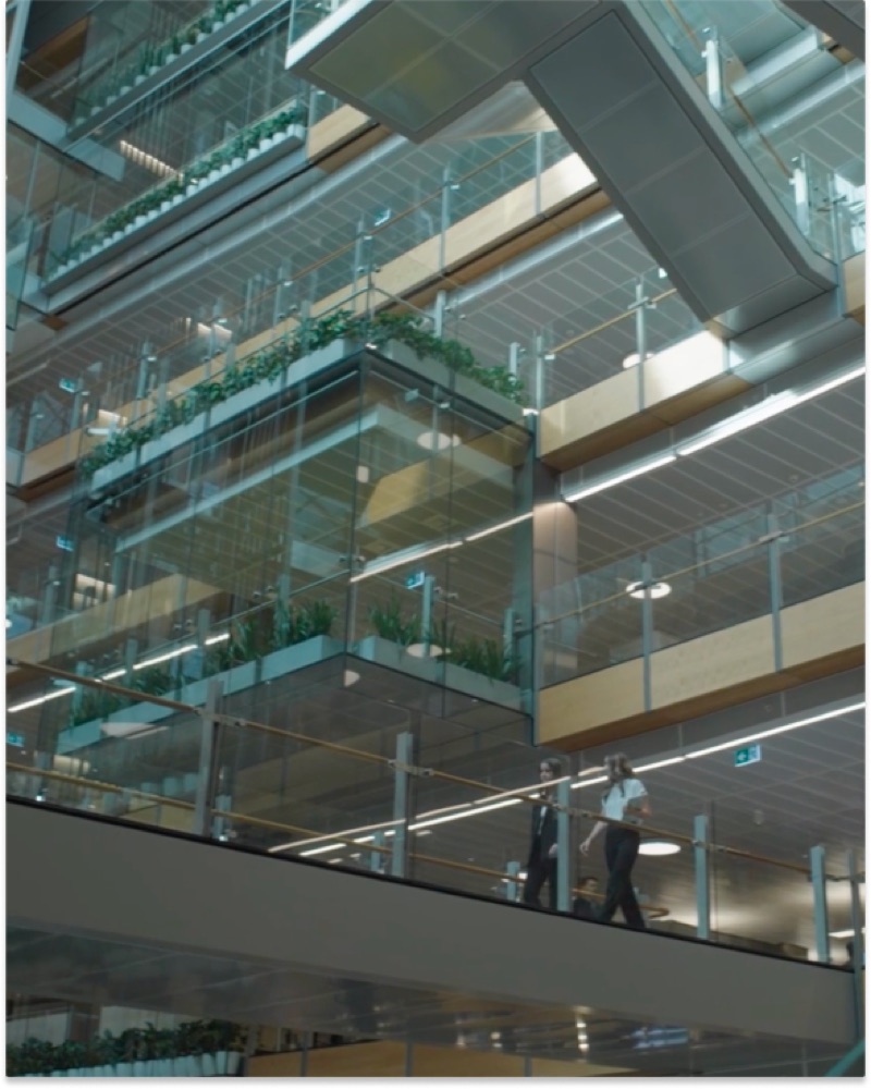 Macquarie University – Undergraduate Campaign