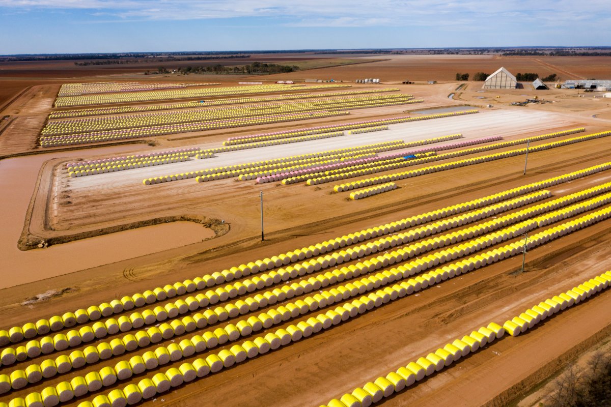 Aerial view of a cotton storage yard with rows of wrapped modules