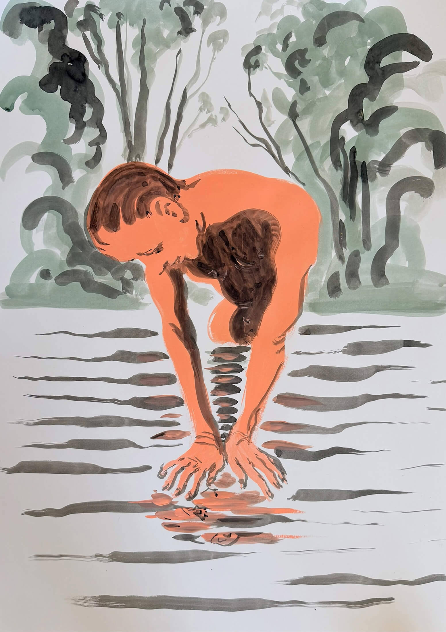 Narcissus