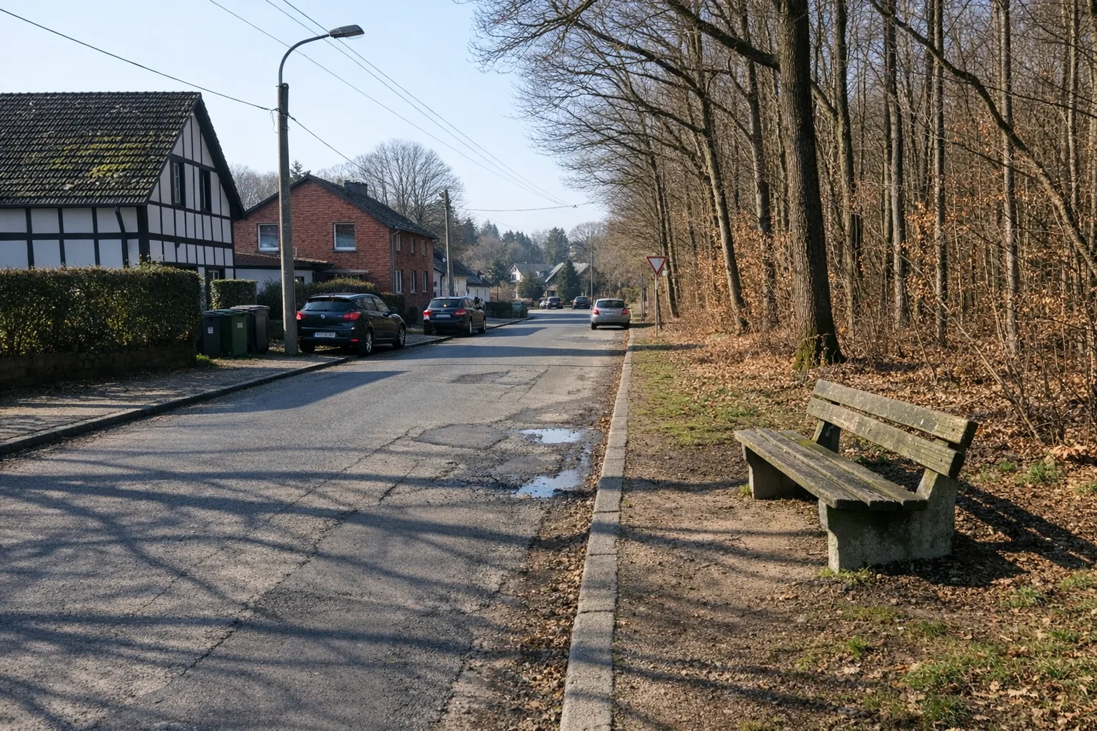 Wohnstraße am Waldrand mit Holzbank, kahlen Bäumen und Einfamilienhäusern