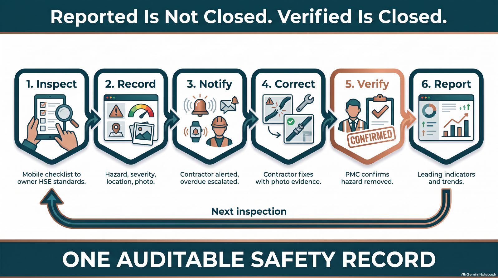 Infographic from the article