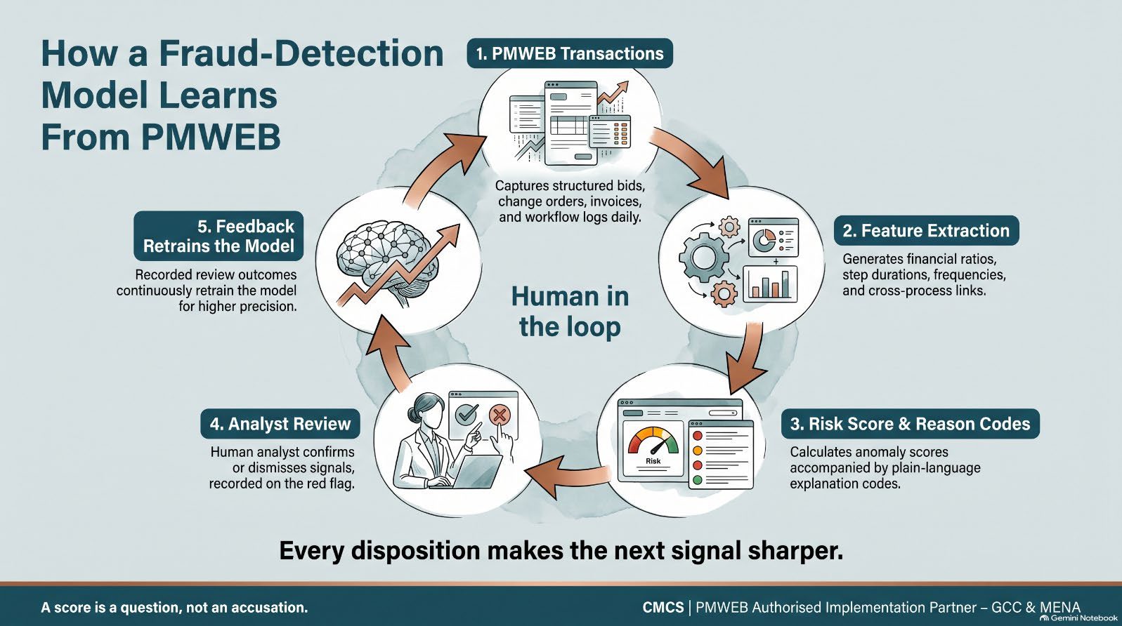 Infographic from the article