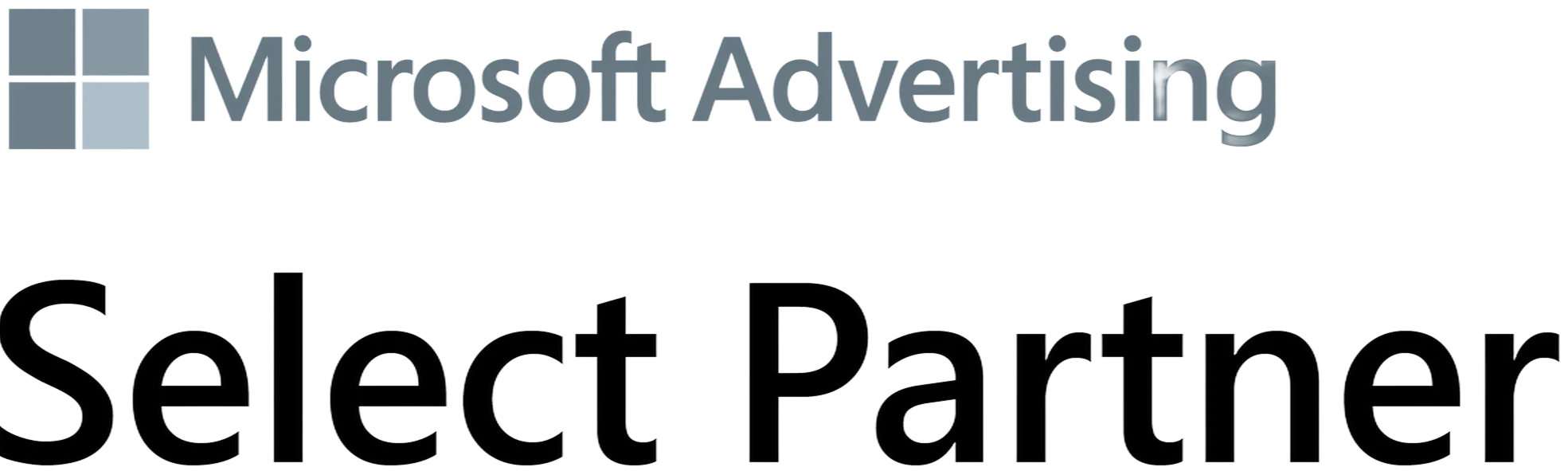 Microsoft Advertising Partner