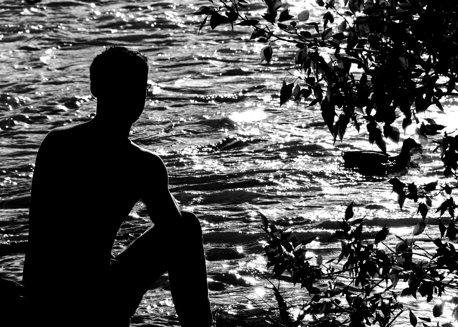 Sixth Year, Entry Seven - Ismail's Story