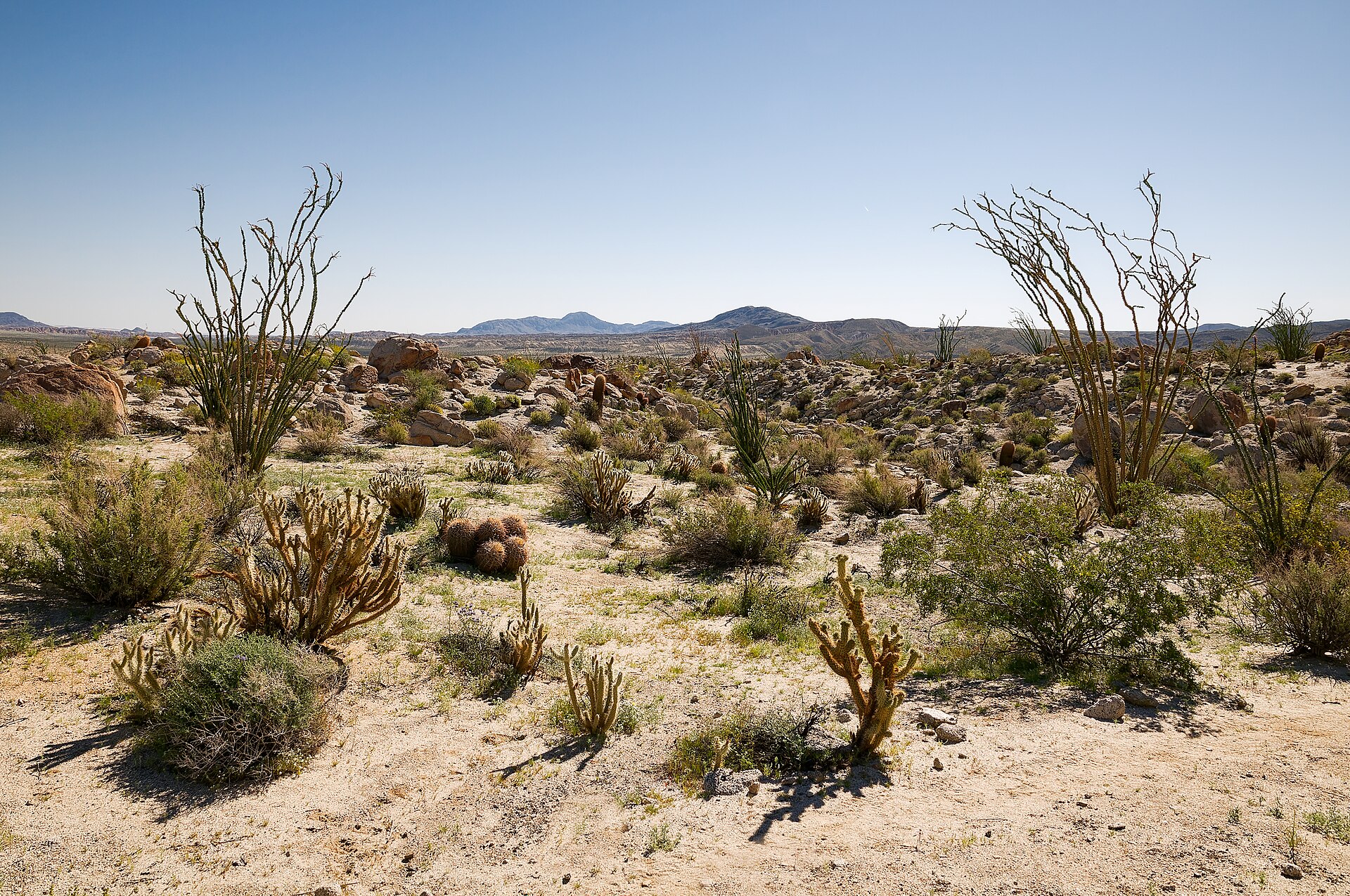 Desert and mountains in Anza-Borrego Desert State Park
